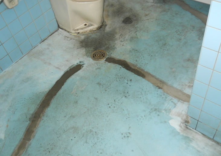 某所トイレでの改修前